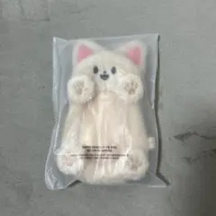 StrayKids スキズ アイエン フォクシニー トレカケース ペンミ