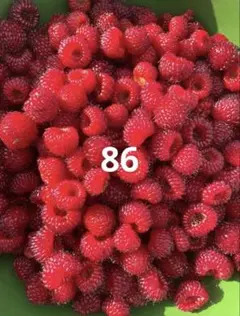 超大玉収穫‼️】大実ラズベリー苗 86 - メルカリ