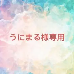 うにまる様確認専用ページ【取り置き中】