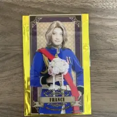 ヘタミュ ミュージアム アクリルバナーカード フランス - メルカリ