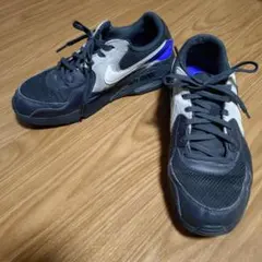 Nike エアーマックス　エクシー　25cm