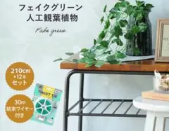 Item thumbnail for item 081b1553-4e0d-4b23-86cc-64923c39a79f