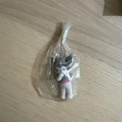 サンリオキャラクターズ　ミニチュアチャームライブキャラクター クロミ おまけあり