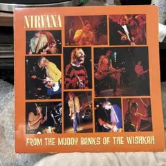 500枚限定 NIRVANA 初期音源 LP 新品未開封 500枚限定 NIRVANA 初期音源 LP 新品未開封 - メルカリ
