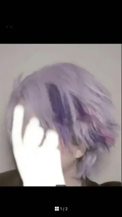 るい様 ウィッグオーダー 専用ページ 【不破湊(パイロットコラボ