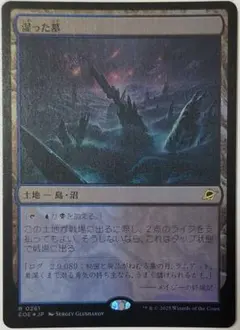 2025年最新】湿った墓 Foilの人気アイテム - メルカリ