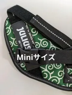 Item thumbnail for item 140a7dda-f35e-4609-b8e6-666595439165