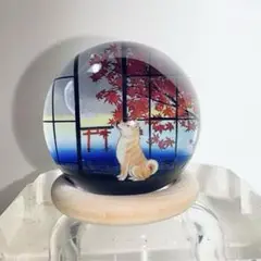 月を見上げる柴犬と紅葉の夜