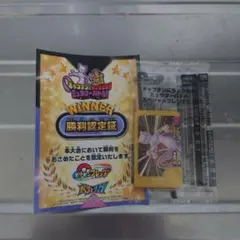 ポケモンフレンダ ミュウツー 　イベント