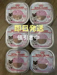 ★値引き中★ロイヤルカナン マザー＆ベビーキャット 100g 6個セットのサムネイル