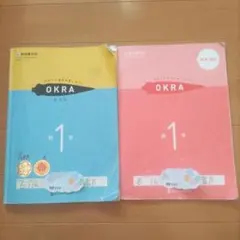 数学 中学1年生 問題集 啓林館 中1 オクラ 正進社 高校入試