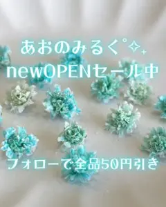 かすみ草 ドライフラワー ハーバリウム レジン　青　ピンク　白　紫　あおのみるく