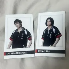 テニミュ ポラショット ポラショ