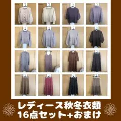 レディース秋冬服 まとめ売り 16点セット ニット GU rps earth