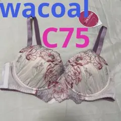 新品　ブラジェニックプラス　ブラジャー　C75 ワコール