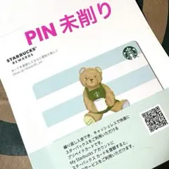 スターバックス カード gelato pique ベアボーダー ミントグリーン
