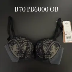 B70 PB6000 OVワコール　ウイング　レシアージュ