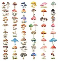 Item thumbnail for item 19637d6a-813c-4104-ae37-8e504795fbb8