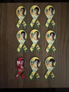 ジェフユナイテッド千葉 選手リボンマグネット 9種セット 田口 呉屋 スアレス