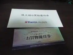 ヤマダホールディングス 株主優待 500円×10枚 買物券