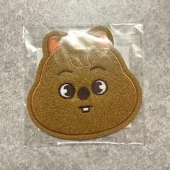 stray kids サガラ刺繍コースター ハンクオッカ