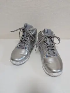 MIZUNO WAVE DIVERSE LG4 25cm ミズノ シルバーのサムネイル