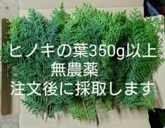 ヒノキの葉350g以上　無農薬　注文後に採取します