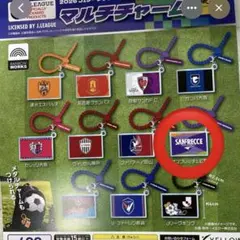 サンフレッチェ広島　マルチチャーム
