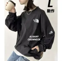 ノースフェイス　韓国限定品　バイカラー 切替ワンポイント クルーネックトップス