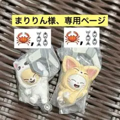 画像の4点セット