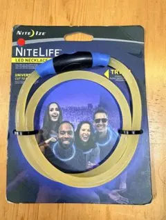 Item thumbnail for item 5b9e2774-d8d8-49e2-ae3d-750d592f7b82