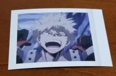 ☆201☆【匿名配送】　ヒロアカ　ぱしゃこれ　爆豪