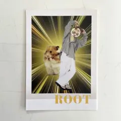 コロコロコミック5月号　すとぶり　るぅとくん