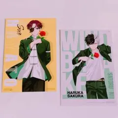 ウィンブレ WIND BREAKER 桜遥 蘇枋隼飛 特典 ポストカード セット