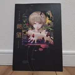 零 紅い蝶 リメイク プレミアムボックス 特典 公式設定資料集のみ