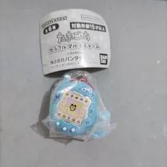 たまごっち カラフルマルチチャーム ふらわっち ケーたま(みずいろ)②