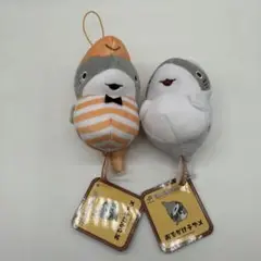ましゅもっち　ひとくちサイズ　水族館　おでかけ子ザメ　マスコット　ぬいぐるみ
