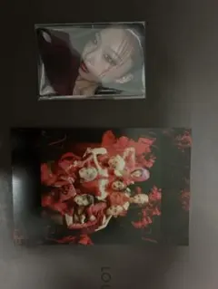 HANA トレカセット ポストカード