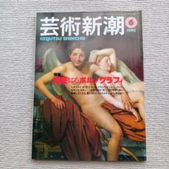 芸術新潮 1995年6月号