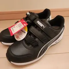 Item thumbnail for item 06b02ae7-fb77-4b31-a157-1f6c1fbc023d