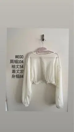 WEGO メッシュ 長袖 クロップド丈 トップスのサムネイル