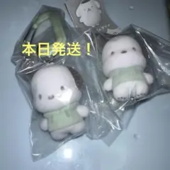 サンリオキャラクターズ カラフルカラビナマスコットチャーム　ポチャッコ　誕生日