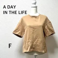アデイインザライフ　Tシャツ　半袖　カットソー　ベージュ 無地　日本製　綿　Fのサムネイル