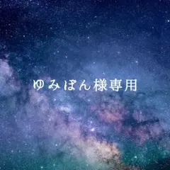 ゆみぽん　様専用【2点】