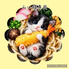 【3月】みい様専用