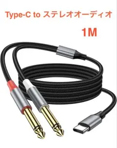 Type-Cからダブル6.35mmステレオオーディオケーブル 1M