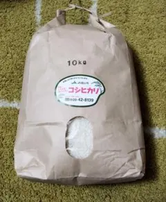 富山県コシヒカリ 10kg 白米のサムネイル