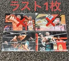 最*高様 ラジャブアリ・シェイドゥラエフ rizin RIZIN ブロマイド 2