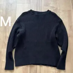 ANTIQULOTHES made in Japan コットン100 リブニット