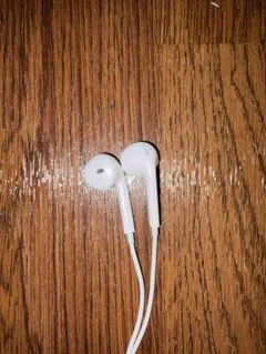 Apple純正有線イヤホン (ライトニング)